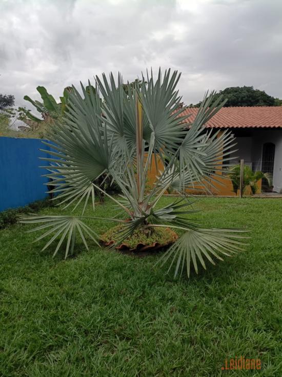 sitio-venda-bairro-quintas-do-godoy-betim-1146210